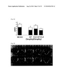 Combination Therapy for Neuroprotection diagram and image