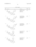 mTOR KINASE INHIBITORS FOR ONCOLOGY INDICATIONS AND DISEASES ASSOCIATED WITH THE mTOR/PI3K/AKT PATHWAY diagram and image