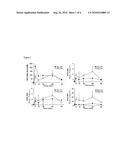 NITRATED-FATTY ACIDS MODULATION OF TYPE II DIABETES diagram and image