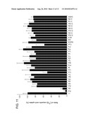 Sodium-independent transporter carrying acidic amino acid and its gene diagram and image