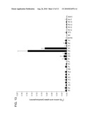 Sodium-independent transporter carrying acidic amino acid and its gene diagram and image