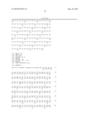 Sodium-independent transporter carrying acidic amino acid and its gene diagram and image