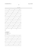 Sodium-independent transporter carrying acidic amino acid and its gene diagram and image