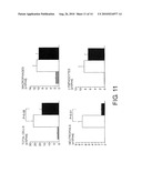 THERAPEUTIC AGENT FOR INTERSTITIAL PULMONARY DISEASE COMPRISING ANTI-HMGB-1 ANTIBODY diagram and image