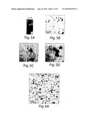 WIREFRAME NANOSTRUCTURES diagram and image