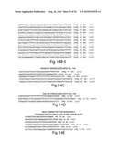 WIREFRAME NANOSTRUCTURES diagram and image