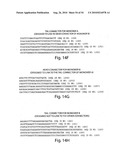 WIREFRAME NANOSTRUCTURES diagram and image