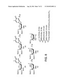 SYNTHESIS OF LOCKED NUCLEIC ACID DERIVATIVES diagram and image