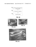 METHODS AND SYSTEMS OF MANAGING ULTRASONOGRAPHIC DIAGNOSIS diagram and image