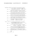 MAIZE MULTIDRUG RESISTANCE-ASSOCIATED PROTEIN POLYNUCLEOTIDES AND METHODS OF USE diagram and image