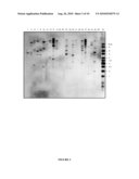 PLANT RESISTANCE TO BANANA BUNCHY TOP VIRUS diagram and image