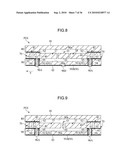 PACKAGED DEVICE AND PRODUCING METHOD THEREOF diagram and image