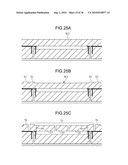 PACKAGED DEVICE AND PRODUCING METHOD THEREOF diagram and image