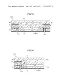 PACKAGED DEVICE AND PRODUCING METHOD THEREOF diagram and image