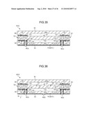 PACKAGED DEVICE AND PRODUCING METHOD THEREOF diagram and image