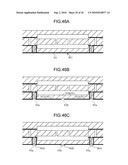 PACKAGED DEVICE AND PRODUCING METHOD THEREOF diagram and image