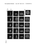 ION DEFLECTOR FOR TWO-DIMENSIONAL CONTROL OF ION BEAM CROSS SECTIONAL SPREAD diagram and image