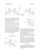 ORGANIC METAL COMPLEX, AND ORGANIC LIGHT EMITTING DEVICE AND DISPLAY APPARATUS USING THE SAME diagram and image