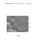 STABILIZED EMISSIVE STRUCTURES AND METHODS OF MAKING diagram and image