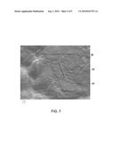 STABILIZED EMISSIVE STRUCTURES AND METHODS OF MAKING diagram and image