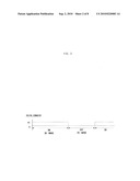 DRIVING APPARATUS OF 2D/3D IMAGE DISPLAY APPARATUS diagram and image