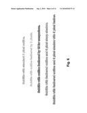 SYSTEMS, APPARATUS AND METHODS FOR SUBTITLING FOR STEREOSCOPIC CONTENT diagram and image