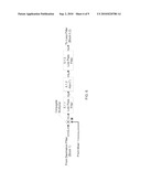 FULLY COMPENSATED ADAPTIVE INTERFERENCE CANCELLATION SYSTEM diagram and image