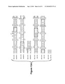 Antibody Therapy diagram and image