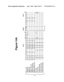 Antibody Therapy diagram and image