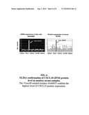 BIOMARKERS FOR CARDIOVASCULAR SIDE-EFFECTS INDUCED BY COX-2 INHIBITORY COMPOUNDS diagram and image