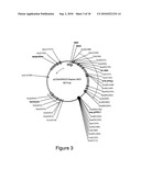 BONE DELIVERY CONJUGATES AND METHOD OF USING SAME TO TARGET PROTEINS TO BONE diagram and image