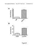 BONE DELIVERY CONJUGATES AND METHOD OF USING SAME TO TARGET PROTEINS TO BONE diagram and image