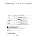 BONE DELIVERY CONJUGATES AND METHOD OF USING SAME TO TARGET PROTEINS TO BONE diagram and image