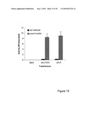 BONE DELIVERY CONJUGATES AND METHOD OF USING SAME TO TARGET PROTEINS TO BONE diagram and image