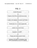 ANTI-VIRAL GRIFFITHSIN COMPOUNDS, COMPOSITIONS AND METHODS OF USE diagram and image