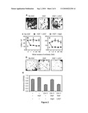 METHODS OF TREATING BRAIN TUMORS WITH ANTIBODIES diagram and image