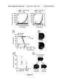 METHODS OF TREATING BRAIN TUMORS WITH ANTIBODIES diagram and image