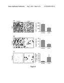 METHODS OF TREATING BRAIN TUMORS WITH ANTIBODIES diagram and image