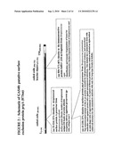 IMMUNOGENIC COMPOSITIONS FOR STREPTOCOCCUS PYOGENES diagram and image