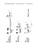 IMMUNOGENIC COMPOSITIONS FOR STREPTOCOCCUS PYOGENES diagram and image