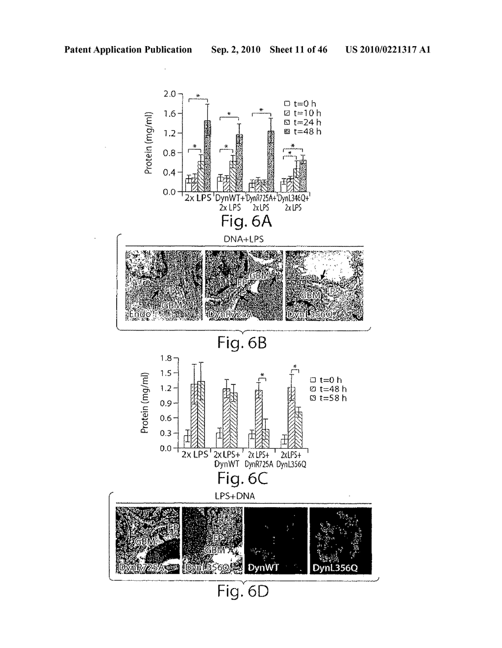 DYNAMIN MEDIATED DISEASES AND ASSOCIATED METHODS AND PRODUCTS - diagram, schematic, and image 12