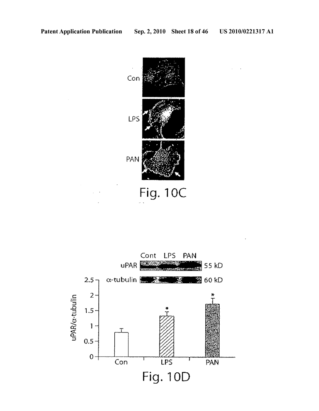 DYNAMIN MEDIATED DISEASES AND ASSOCIATED METHODS AND PRODUCTS - diagram, schematic, and image 19