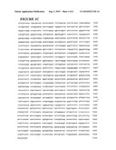 NUCLEIC ACIDS FOR INHIBITING HAIRLESS PROTEIN EXPRESSION AND METHODS OF USE THEREOF diagram and image