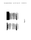 ENHANCING SOLUTE TRANSPORT WITHIN A TISSUE SCAFFOLD diagram and image