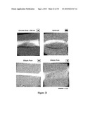 ENHANCING SOLUTE TRANSPORT WITHIN A TISSUE SCAFFOLD diagram and image