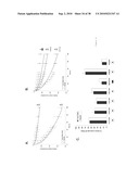 ENHANCING SOLUTE TRANSPORT WITHIN A TISSUE SCAFFOLD diagram and image