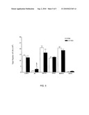 USE OF GINSENG FRACTIONS FOR PREVENTING OR REDUCING HEMATOLOGICAL MALIGNANCIES diagram and image