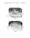 Systems and Methods for Profiling Sheet Products diagram and image