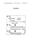 Methods for detection and typing of nucleic acids diagram and image