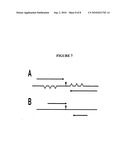 Methods for detection and typing of nucleic acids diagram and image